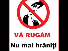 placuta nu mai hraniti porumbeii